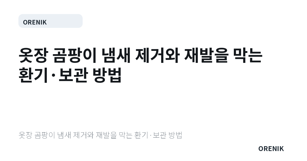 옷장 곰팡이 냄새 제거와 재발을 막는 환기·보관 방법